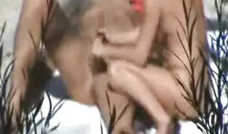 Người bạn của gia sex trường học nhật bản đình