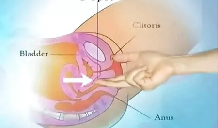 Vợ tôi trong khi xnxx nhat ban hoc sinh tôi hét lên tên của người yêu của tôi