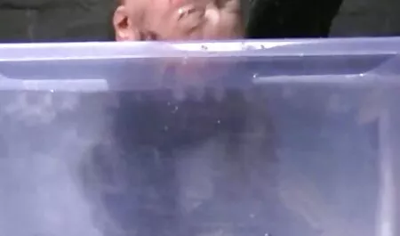 Lông luôn sex nu sinh nhat ban