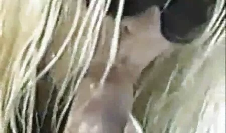 Tiệc sex trường học nhật bản tùng